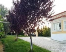 Vivenda inserida na Natureza em ambiente calmo