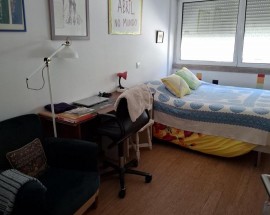 Quarto com jardim e gatos Lisboa JZoo