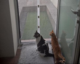 Quarto perto MaiaShopping