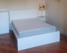 Quarto individual ICBAS