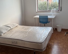 Procuro menina para dividir T2 proximo a FCT