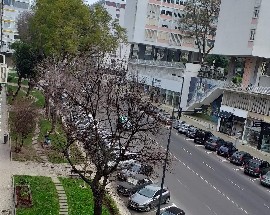 Quarto individual em apartamento particular na Av Infante