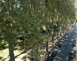 Quartos a 50 metros da Universidade Fernando Pessoa