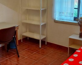 Alugo quarto a rapariga estudante em Castelo Branco ESA
