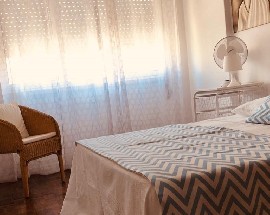 Erasmus Students IPS