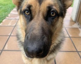 Foto de Paula Taboada
