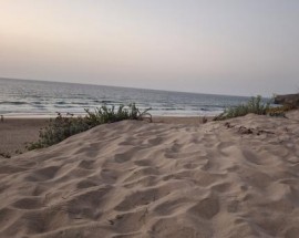 Foto de Rita Caldeira