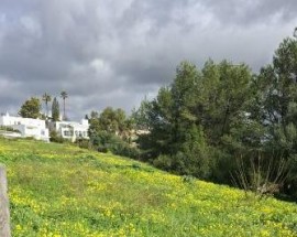 Foto de Carolina Rodrigues