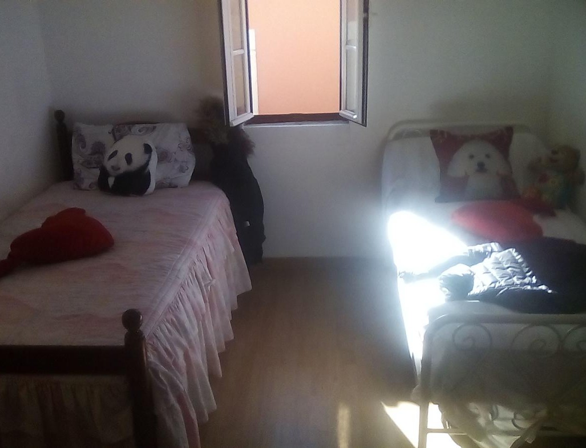 Foto de Diogo Miguel