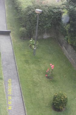Foto de Eunice Barroso