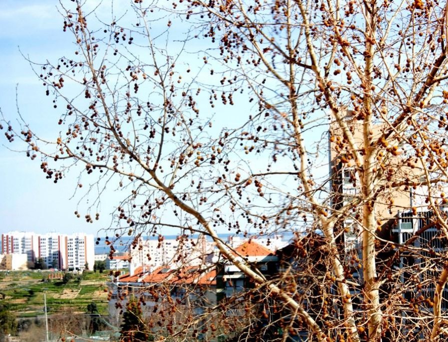 Foto de Ana Rafael