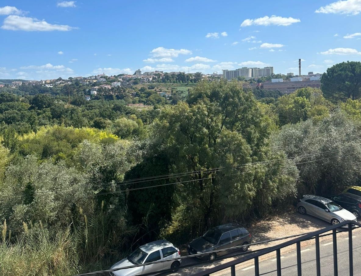Foto de João Fonseca