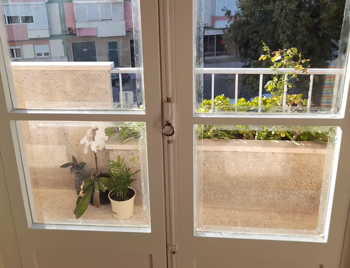 Foto de Jasmina Marinova