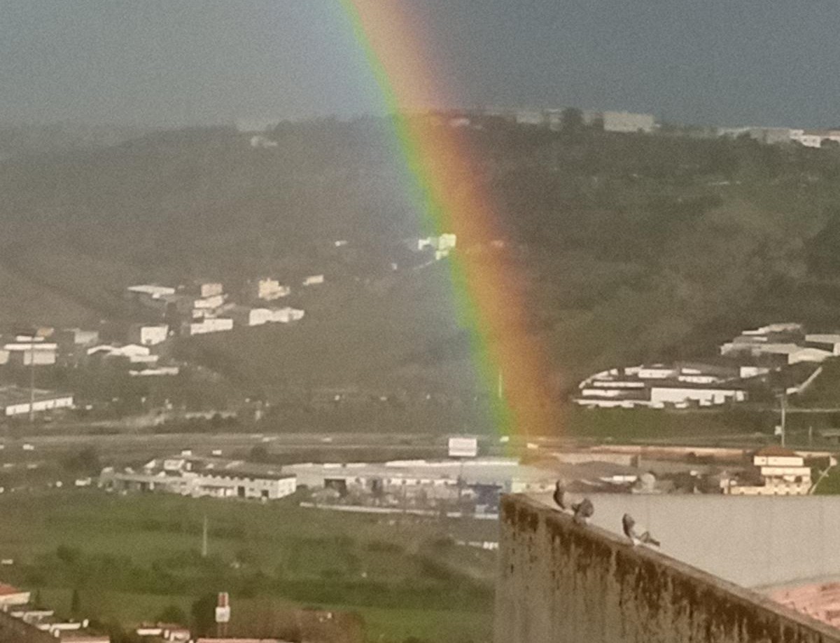 Foto de Madalena Escobar