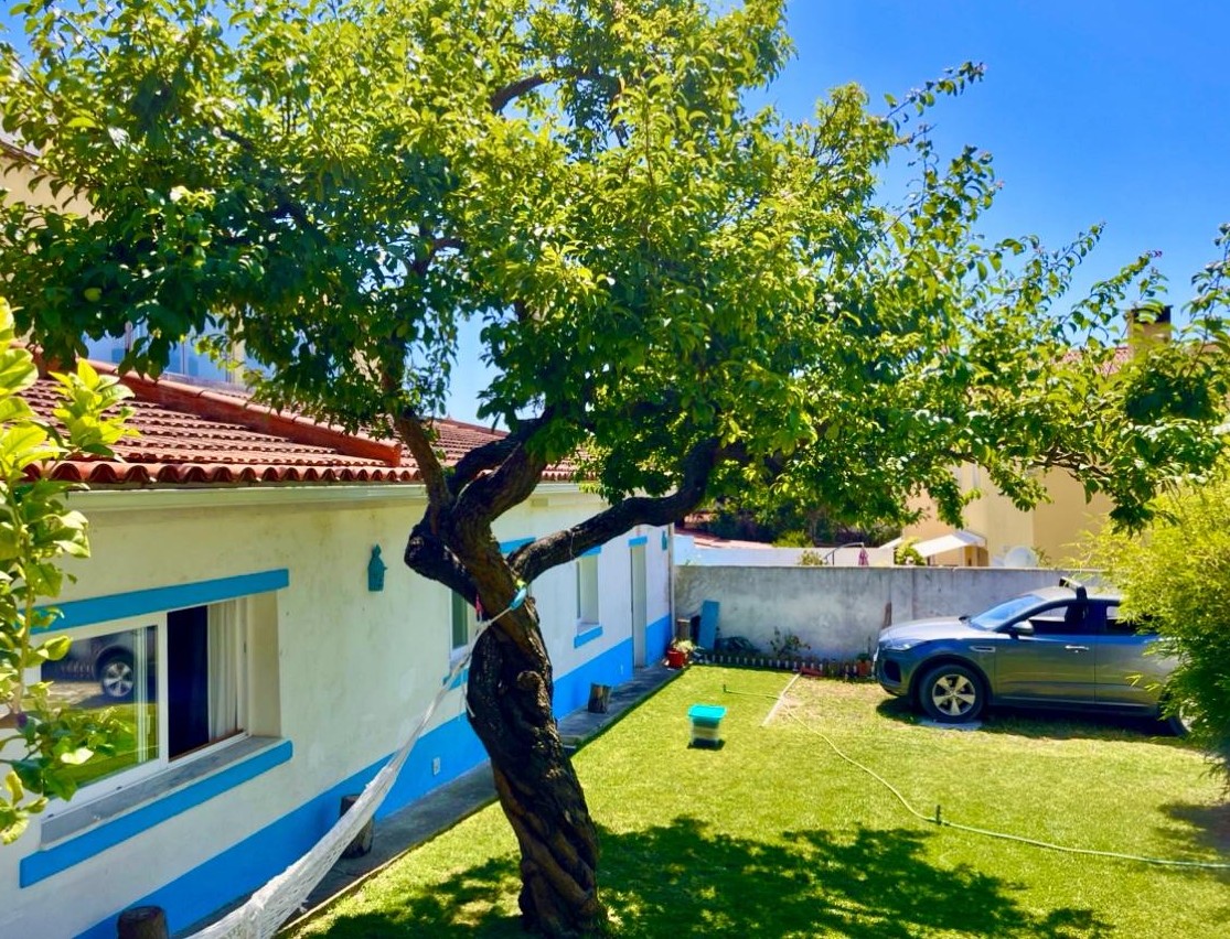 Foto de Luís Alves