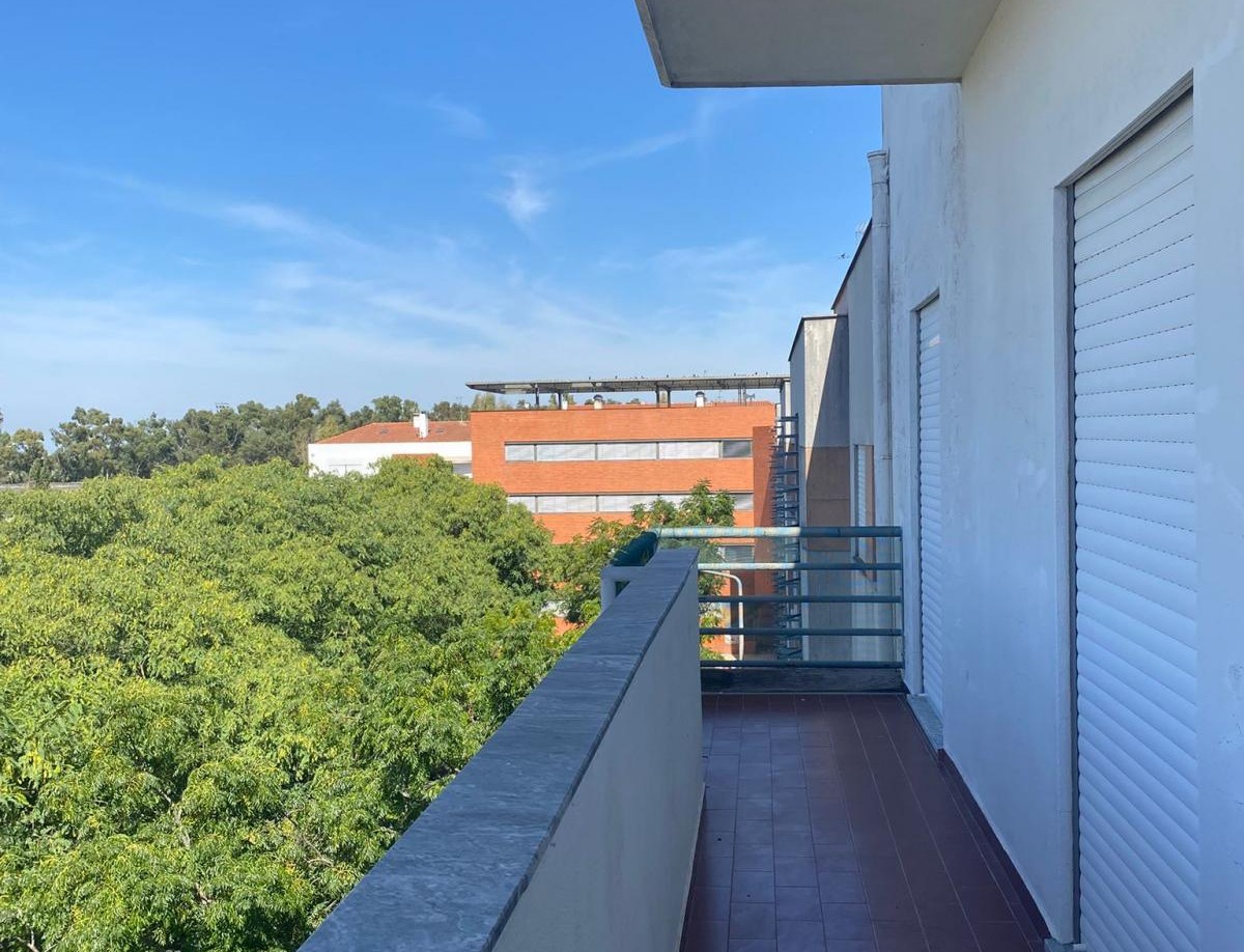Foto de Nuno Caetano