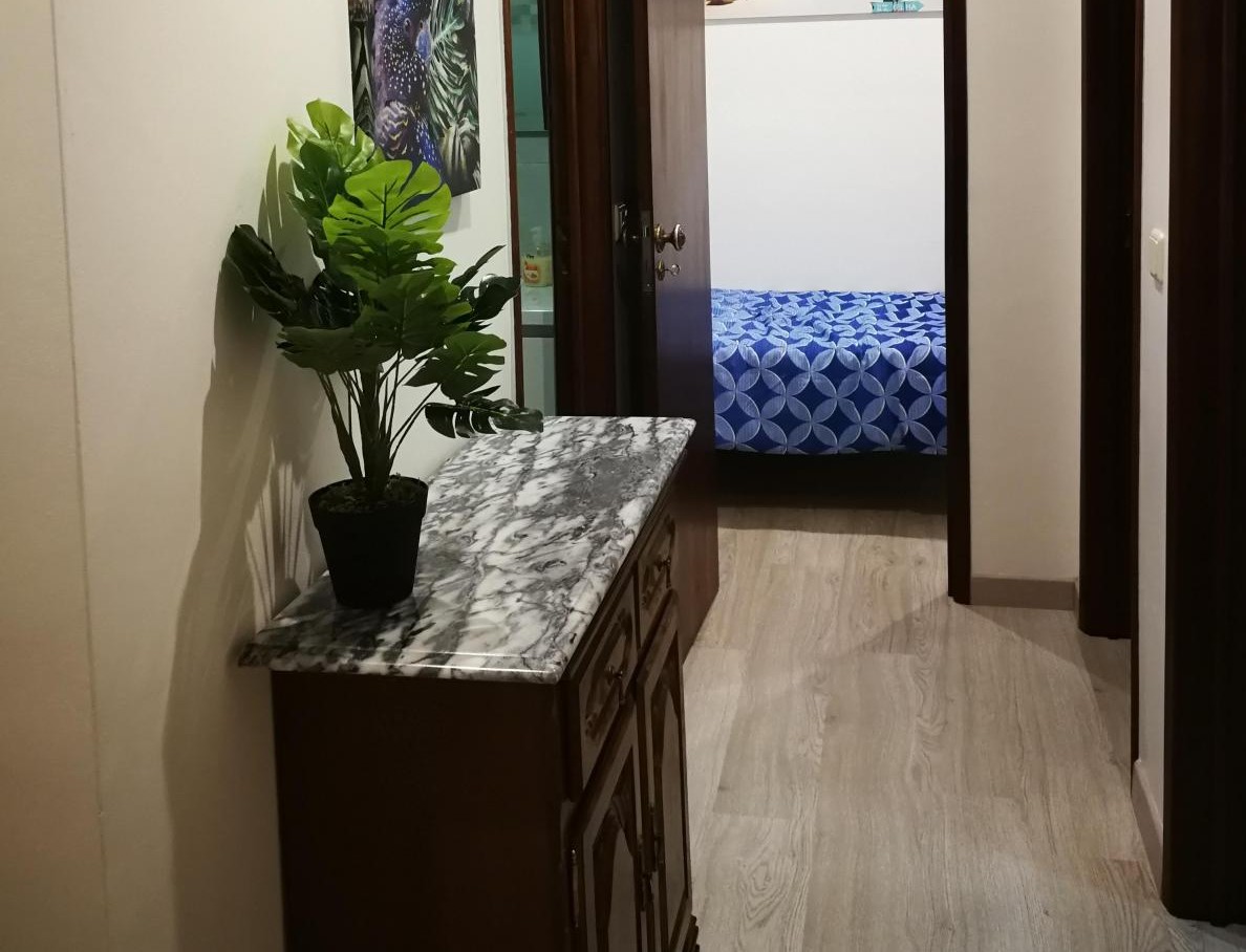 Foto de Sandra Coelho