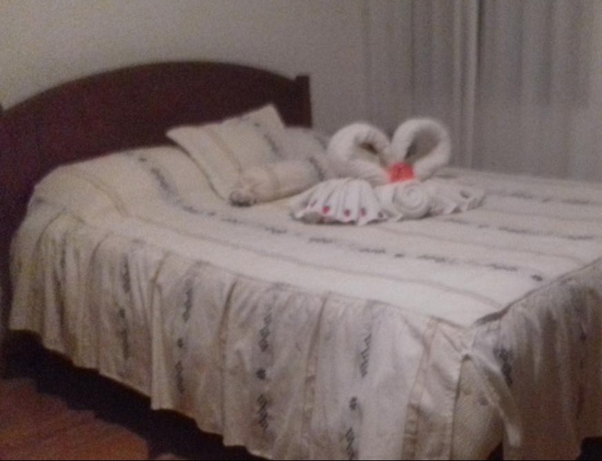 Foto de Helena Martins