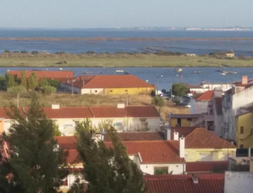 Foto de Natália Mota