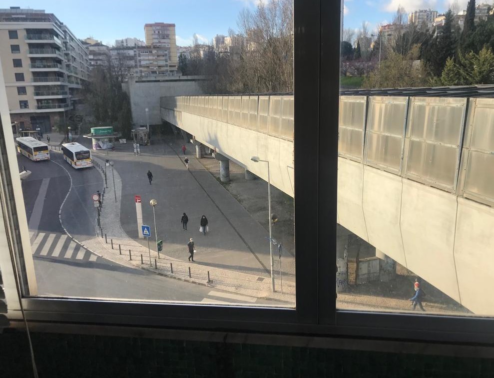 Foto de Daniela Freire