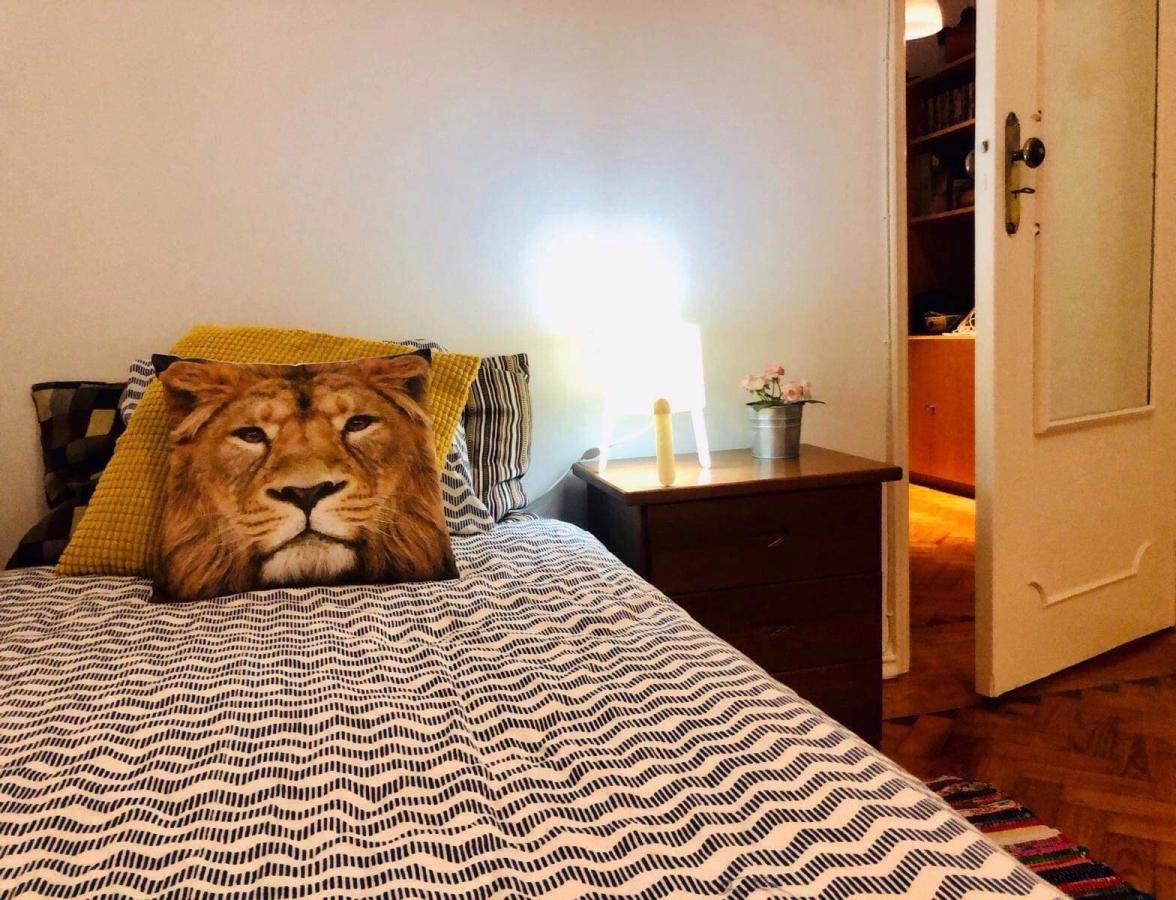 Foto de Elisabete Nogueira