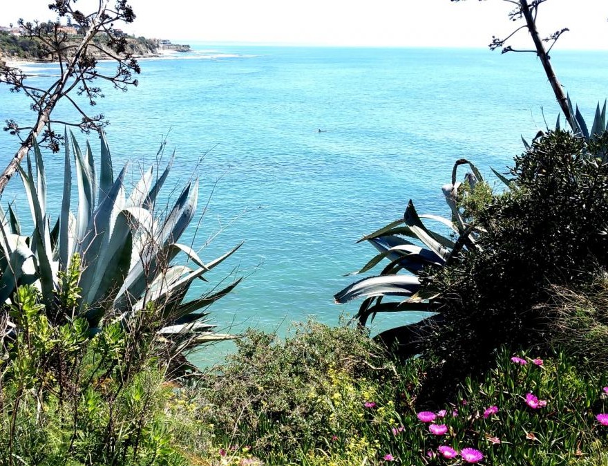 Foto de Maria Do Mar Lopes