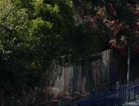 Foto de Miguel Lourenço