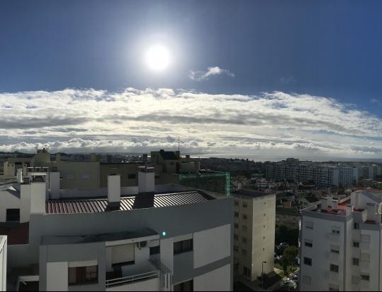 Foto de Pedro Leal