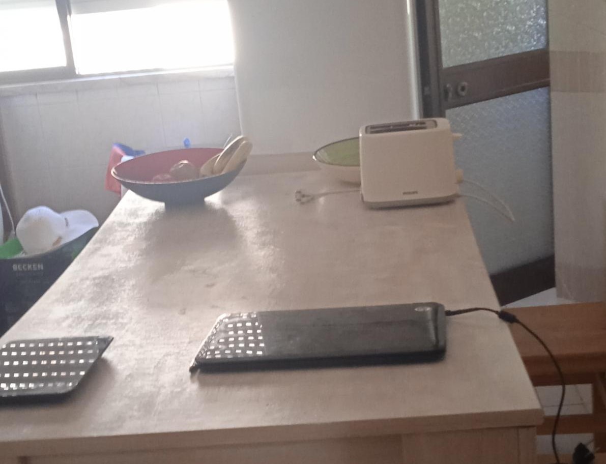 Foto de Ana Catarino