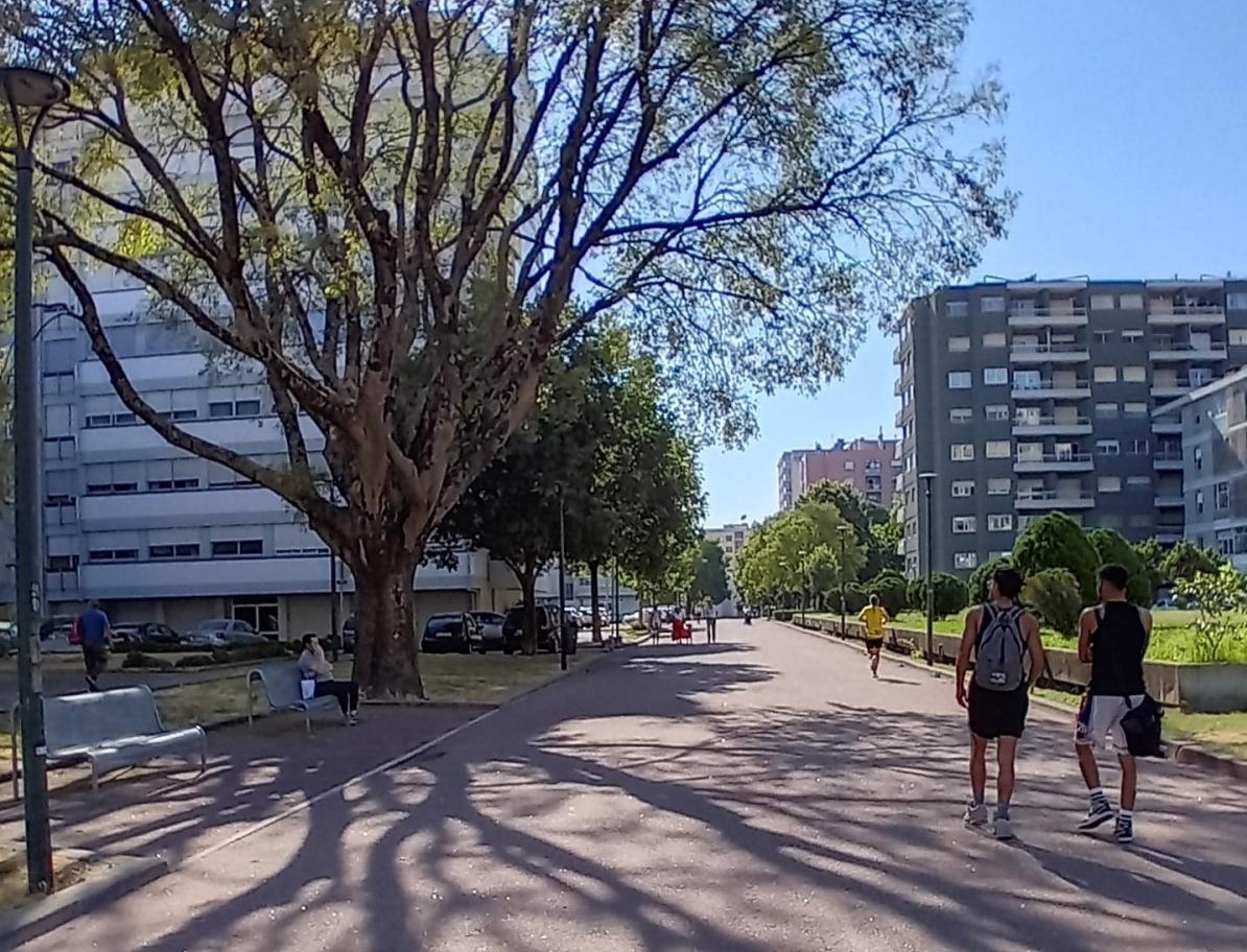Foto de Graça Sousa