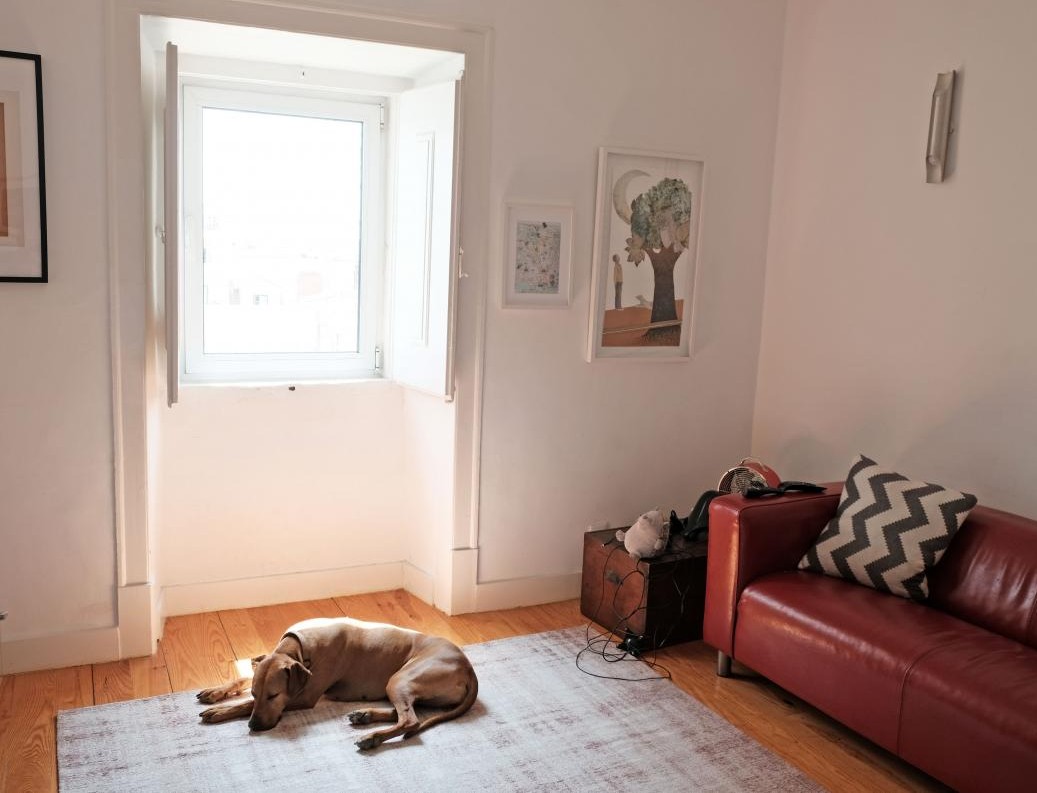 Foto de Pedro Hespanha