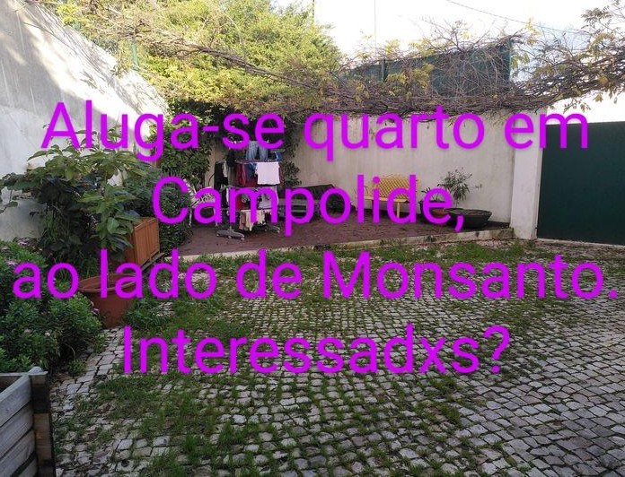 Foto de Camilla Morello