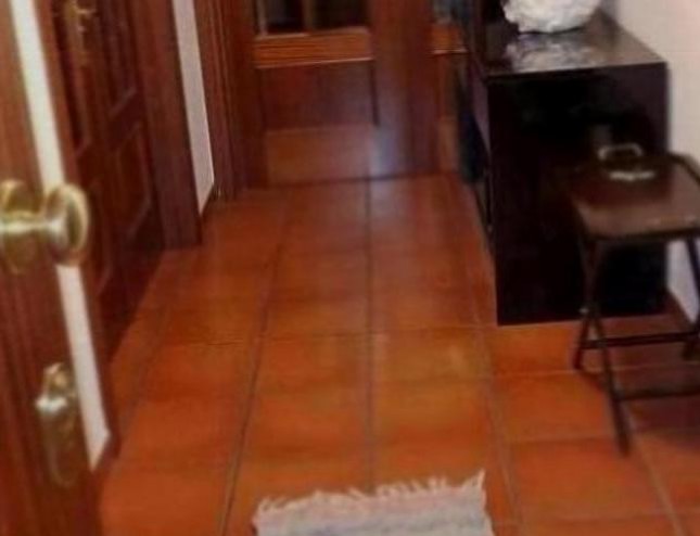 Foto de Pedro Bichinho