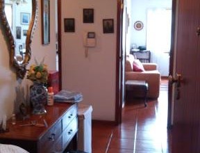 Foto de Katja Augusto