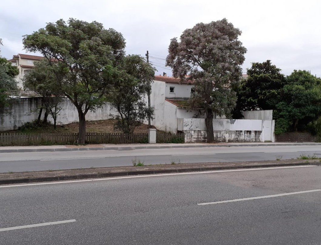 Foto de Pedro Padrão