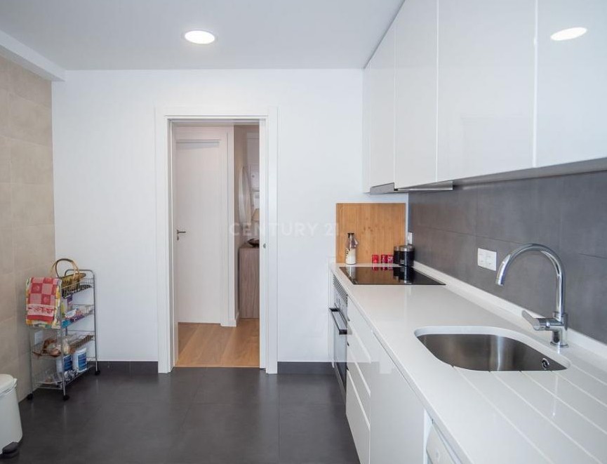 Foto de Isabel Proença