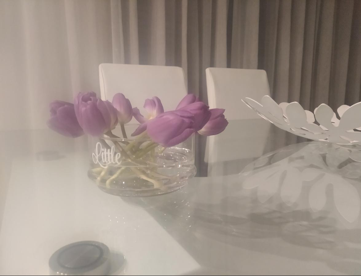 Foto de Daniela Mesquita