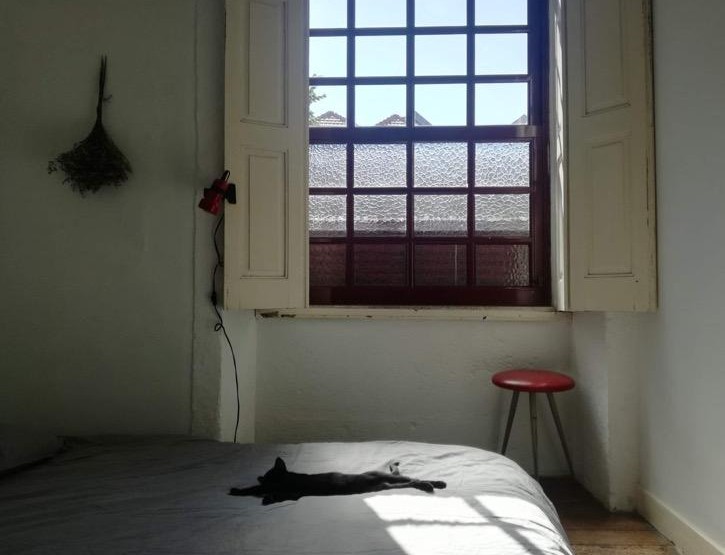 Foto de Celso Carvalho