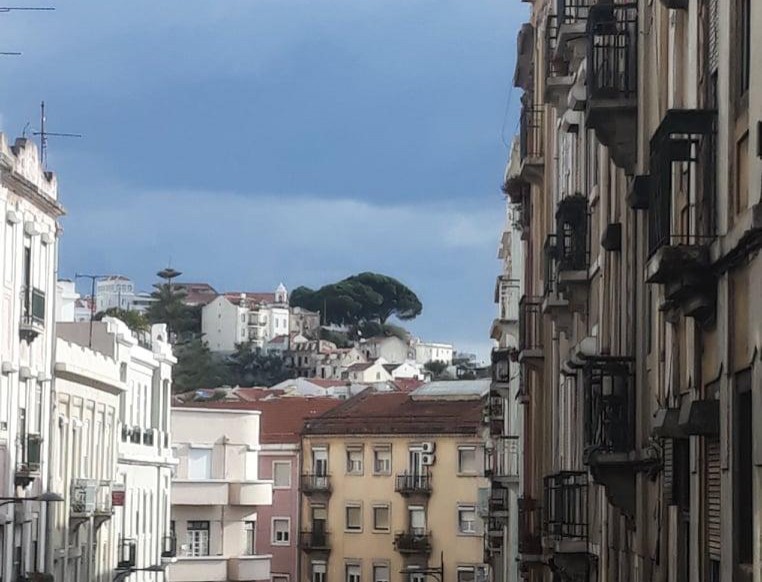 Foto de Rita Pereira