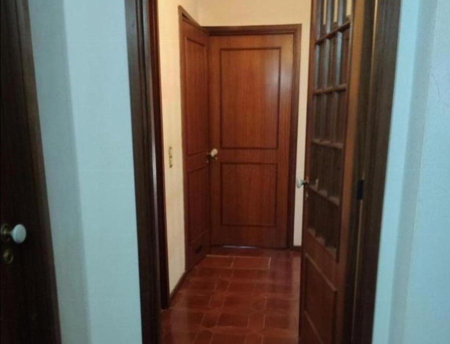 Foto de Luís Ferreira
