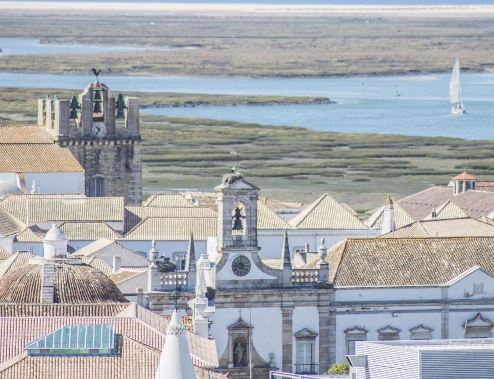 Foto de João Bota