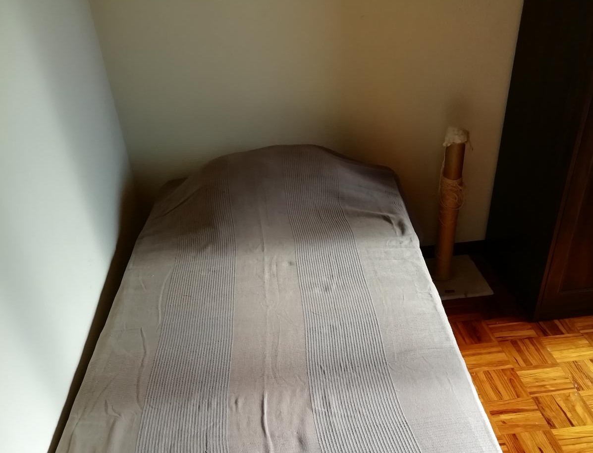 Foto de Joana Reis