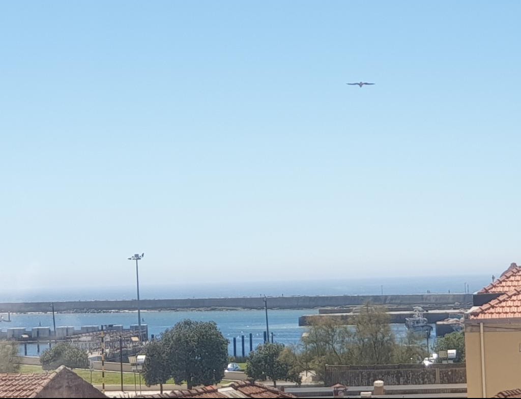 Foto de Iúri Vieira