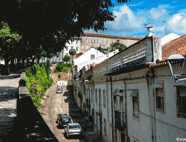 Foto de João Afonso
