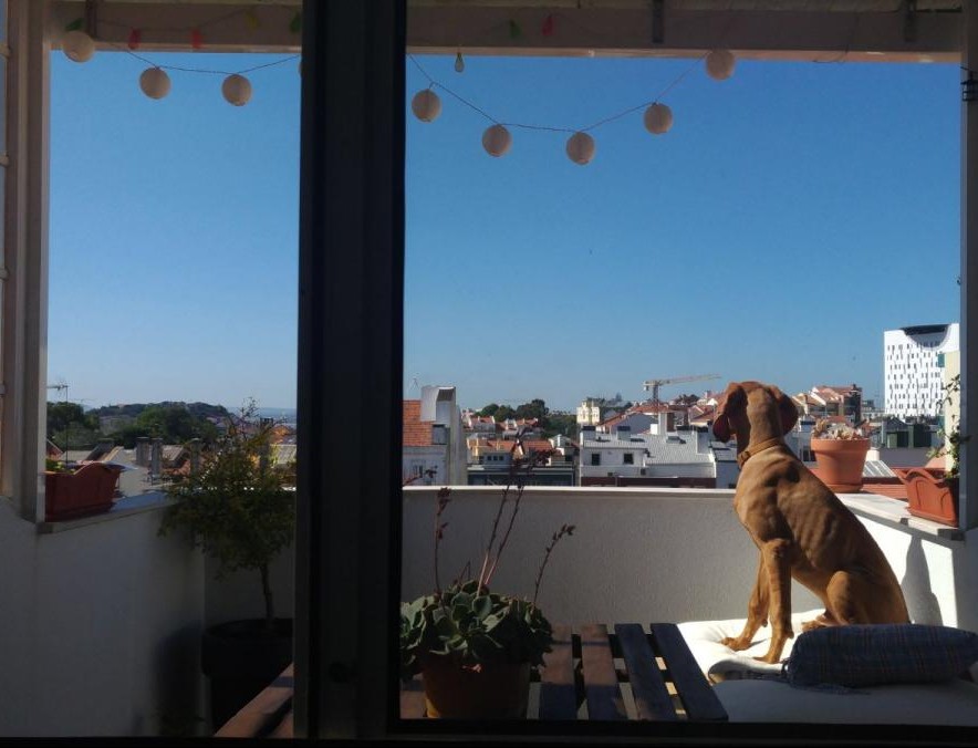 Foto de Ricardo Alves